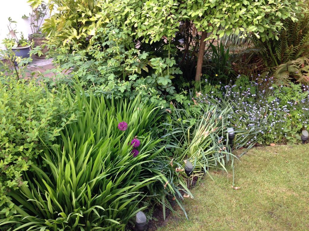 Willow Cottage B&B Yeadon Eksteriør bilde