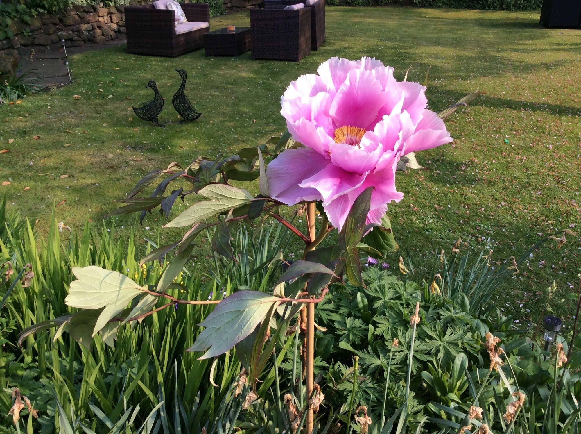 Willow Cottage B&B Yeadon Eksteriør bilde